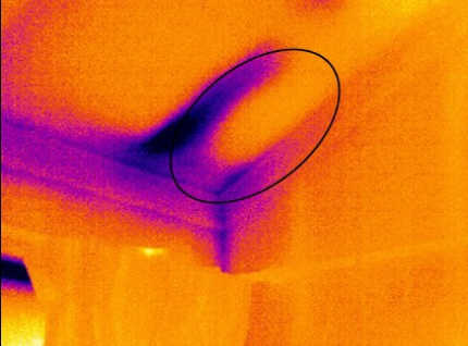 Thermal Imaging Report nz